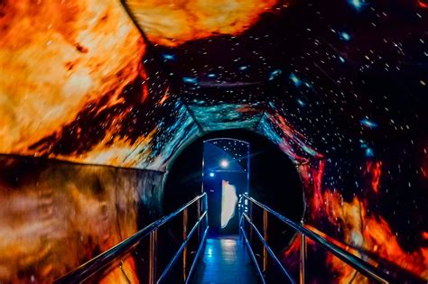 the mind museum reviews|Mind Museum Experience .
